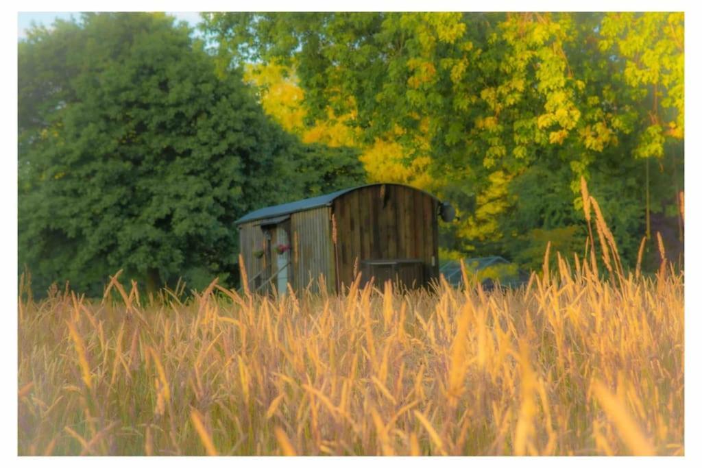 Mountbatten Shepherds Hut & Buckhurst Shepherds Hut Ашфорд Экстерьер фото