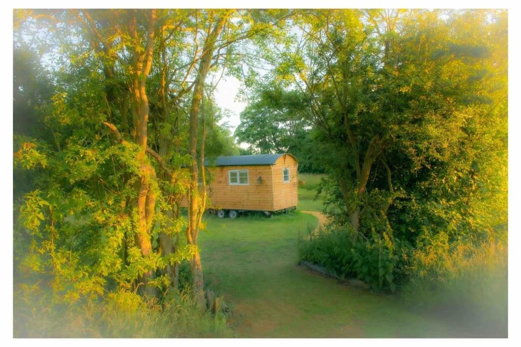 Mountbatten Shepherds Hut & Buckhurst Shepherds Hut Ашфорд Экстерьер фото