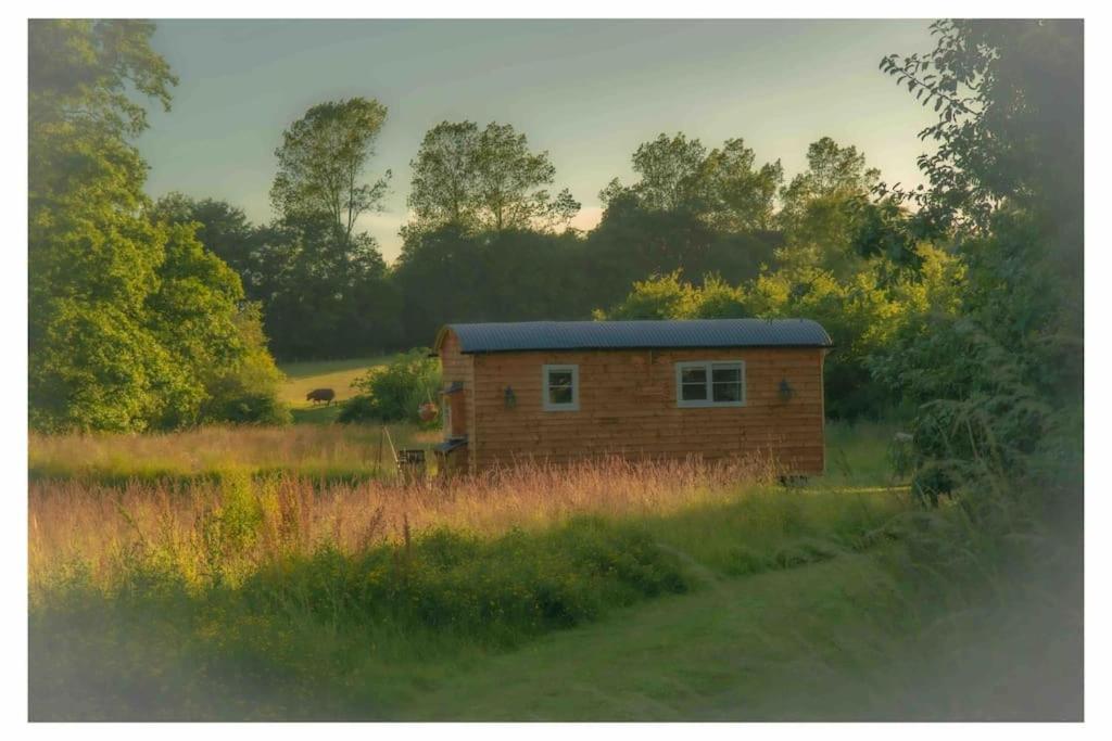 Mountbatten Shepherds Hut & Buckhurst Shepherds Hut Ашфорд Экстерьер фото