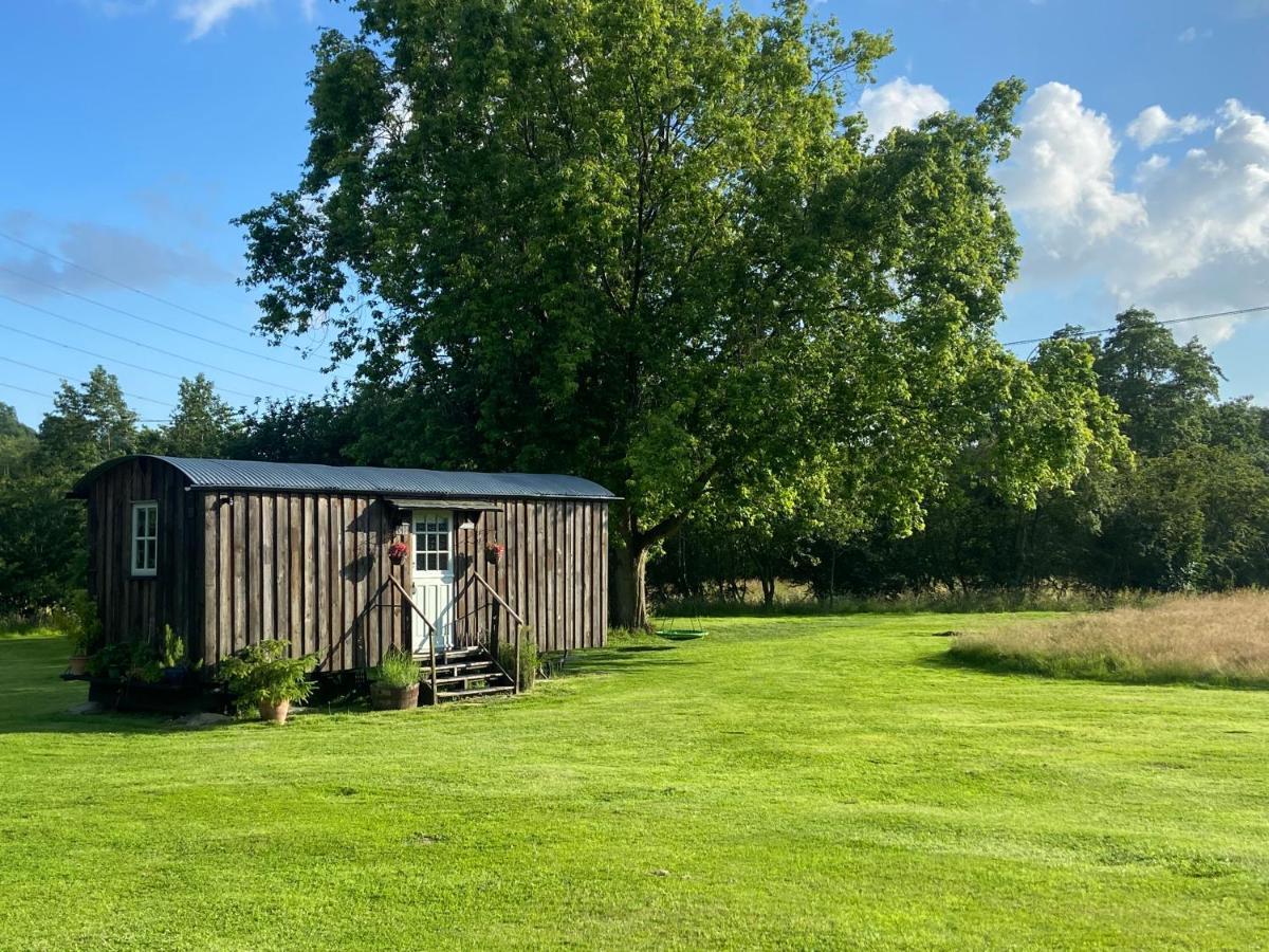 Mountbatten Shepherds Hut & Buckhurst Shepherds Hut Ашфорд Экстерьер фото