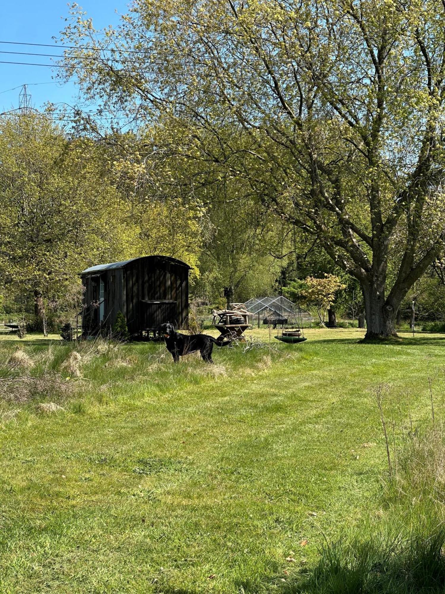 Mountbatten Shepherds Hut & Buckhurst Shepherds Hut Ашфорд Экстерьер фото
